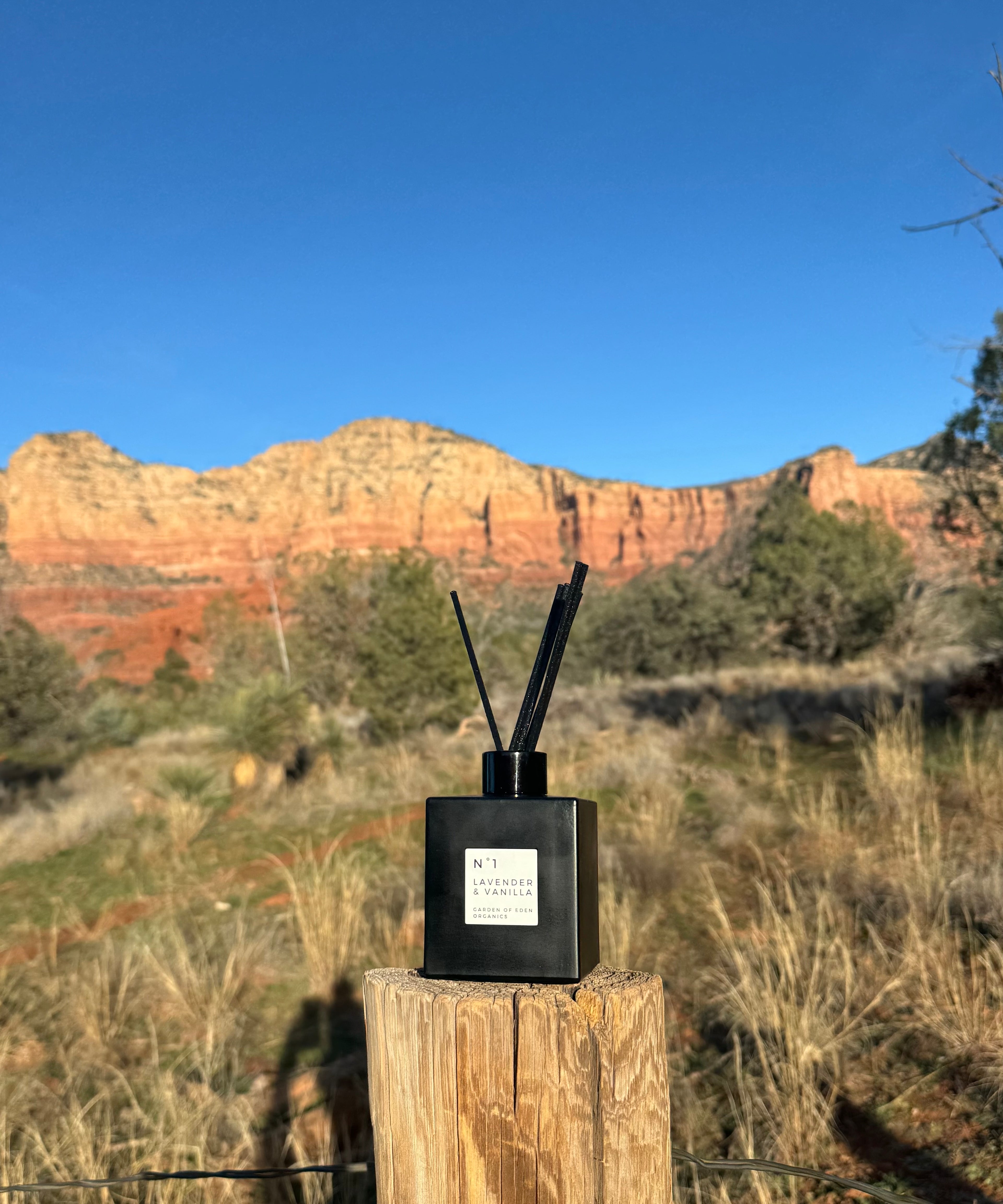 Reed Diffuser